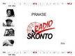Practice Reports 'Prakses pārskats SIA "Radio Skonto"', 47.