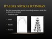Presentations 'Itālijas gotiskā arhitektūra', 3.