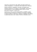 Essays 'Raidījums "Atvērtie faili: Lemberga prāva" recenzija', 2.