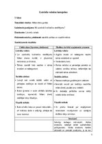 Practice Reports 'INTEGRĒTO MĀCĪBU PRAKSE  SĀKUMSKOLĀ', 5.