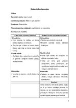 Practice Reports 'INTEGRĒTO MĀCĪBU PRAKSE  SĀKUMSKOLĀ', 8.