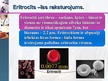 Presentations 'Eritropoēze', 3.