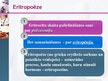 Presentations 'Eritropoēze', 6.