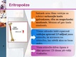 Presentations 'Eritropoēze', 7.