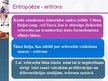 Presentations 'Eritropoēze', 8.