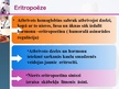 Presentations 'Eritropoēze', 19.