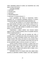 Term Papers 'SIA "Auto” darbība un attīstības iespējas', 24.
