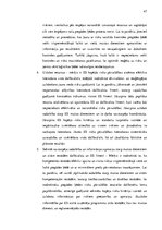 Term Papers 'Ar preču pārvietošanu saistīto dokumentu izmantošanas analīze muitošanas procesā', 47.