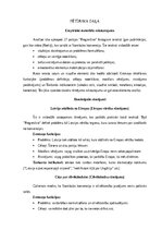 Research Papers 'Stambulas konvencijas protestu rāmējums partijas “Progresīvie” Instagram publikā', 6.