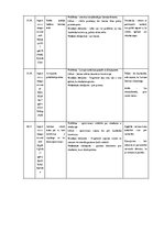 Research Papers 'Stambulas konvencijas protestu rāmējums partijas “Progresīvie” Instagram publikā', 13.