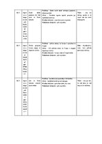 Research Papers 'Stambulas konvencijas protestu rāmējums partijas “Progresīvie” Instagram publikā', 20.