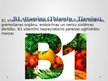 Presentations 'Vitamīni', 28.