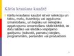 Presentations 'Sabiedrisko attiecību stratēģija un taktika', 105.