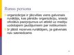 Presentations 'Sabiedrisko attiecību stratēģija un taktika', 112.