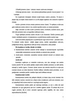 Research Papers 'Privātpersonu kreditēšanas politika AS "Hansabanka"', 9.