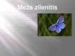 Presentations 'Meža ekosistēma', 25.