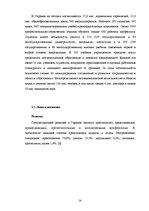 Research Papers 'Выход компании "Elme Messer" на Украинский рынок', 14.