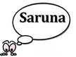Presentations 'Saruna', 1.
