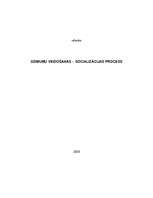 Research Papers 'Dzimumu veidošanās - socializācijas process', 1.