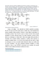 Research Papers 'Manas atklāsmes un gaidas saistībā ar internetu', 2.