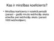 Presentations 'Latvijas demogrāfiskais stāvoklis', 10.