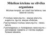 Presentations 'Mūzikas terapija', 15.