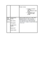 Summaries, Notes 'Tēmas noslēguma darbs- Dziesmu un deju svētku tradīcija Latvijā', 6.