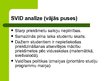 Presentations 'Sabiedrisko attiecību kampaņas plāns koledžai', 4.