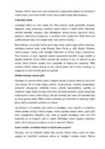 Summaries, Notes 'Pasaules mākslas vēsture', 15.