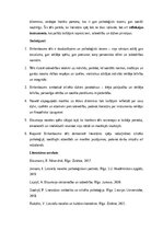 Essays 'Birkenbauma tēls Rūdolfa Blaumaņa novelē “Nāves ēnā”: psiholoģiskā, sociālā un s', 5.