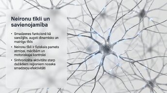 Presentations 'Vai smadzenes spēj pārveidoties pēc traumas vai insulta', 5.