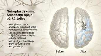 Presentations 'Vai smadzenes spēj pārveidoties pēc traumas vai insulta', 7.