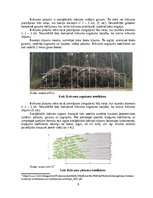 Research Papers 'Koksnes biomasas izmantošana enrģētikā', 8.