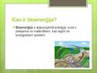 Presentations 'Bioenerģijas resursi', 2.