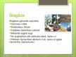 Presentations 'Bioenerģijas resursi', 5.