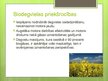 Presentations 'Bioenerģijas resursi', 9.