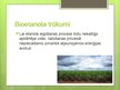 Presentations 'Bioenerģijas resursi', 11.