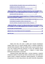 Term Papers 'Eiropas un Latvijas sabiedrisko raidorganizāciju problēmas un attīstības perspek', 3.