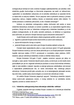 Term Papers 'Eiropas un Latvijas sabiedrisko raidorganizāciju problēmas un attīstības perspek', 22.