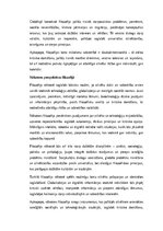 Essays 'Filozofija: cilvēka eksistence un domāšana mūsdienu un nākotnes perspektīvā', 4.