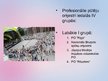 Presentations 'Pūtēju orķestri Latvijā', 8.