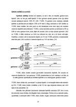 Term Papers 'Šķiedru optikas izmantošanas tendences lokālajos datoru tīklos', 24.