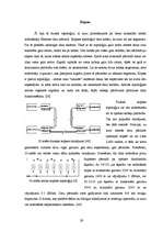 Term Papers 'Šķiedru optikas izmantošanas tendences lokālajos datoru tīklos', 29.
