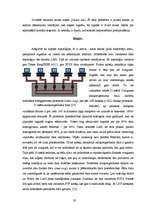 Term Papers 'Šķiedru optikas izmantošanas tendences lokālajos datoru tīklos', 30.