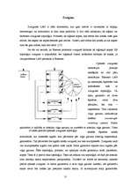 Term Papers 'Šķiedru optikas izmantošanas tendences lokālajos datoru tīklos', 31.
