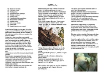 Summaries, Notes 'Koala', 1.