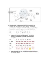 Summaries, Notes 'Olbaltumvielu biosintēze', 3.