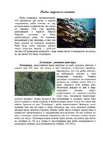 Research Papers 'Рыбы мирового океана', 1.