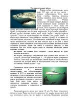 Research Papers 'Рыбы мирового океана', 2.