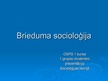 Research Papers 'Brieduma socioloģija', 13.